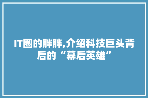 IT圈的胖胖,介绍科技巨头背后的“幕后英雄” 服务器/数据库