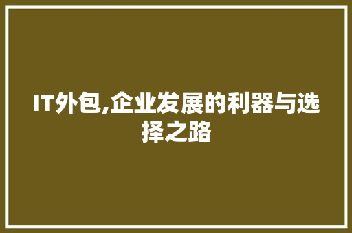 IT外包,企业发展的利器与选择之路 WordPress教程