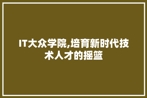 IT大众学院,培育新时代技术人才的摇篮 SEO教程