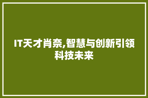 IT天才肖奈,智慧与创新引领科技未来 WordPress教程