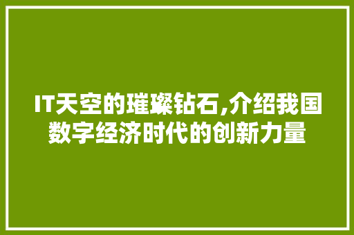 IT天空的璀璨钻石,介绍我国数字经济时代的创新力量