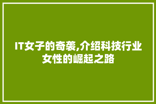 IT女子的奇袭,介绍科技行业女性的崛起之路 建站教程