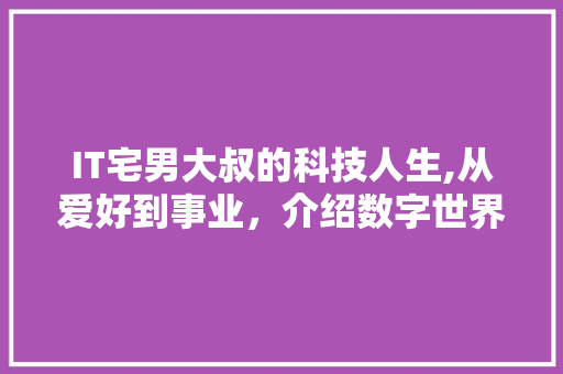 IT宅男大叔的科技人生,从爱好到事业，介绍数字世界的幕后英雄 WordPress教程