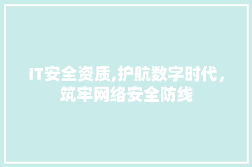 IT安全资质,护航数字时代，筑牢网络安全防线 服务器/数据库