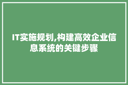 IT实施规划,构建高效企业信息系统的关键步骤 WordPress教程