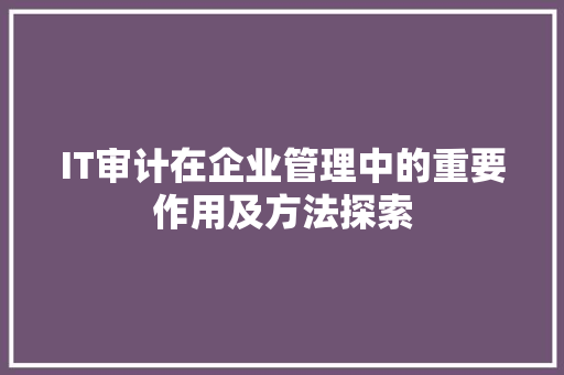 IT审计在企业管理中的重要作用及方法探索 服务器/数据库