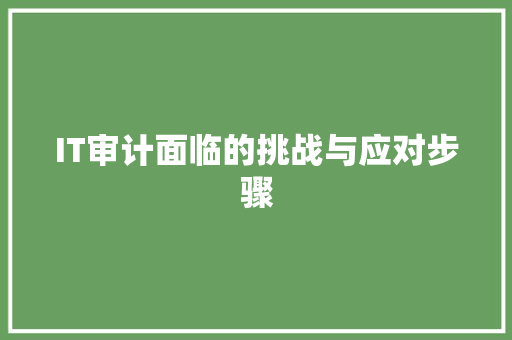IT审计面临的挑战与应对步骤