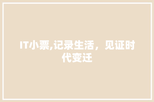 IT小票,记录生活，见证时代变迁