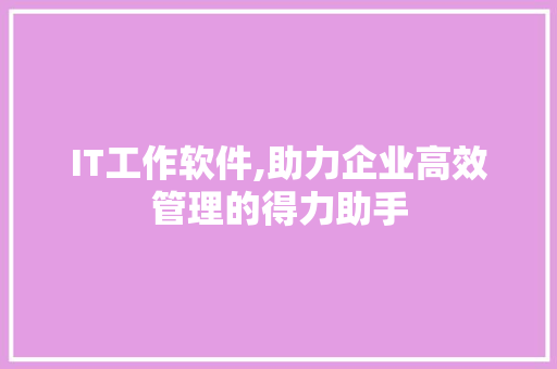 IT工作软件,助力企业高效管理的得力助手 友链在线