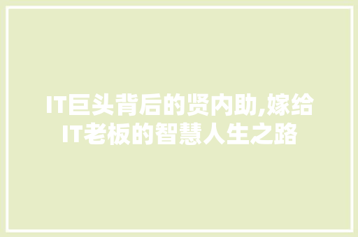 IT巨头背后的贤内助,嫁给IT老板的智慧人生之路 SEO教程