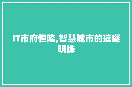 IT市府恒隆,智慧城市的璀璨明珠 SEO教程