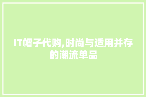 IT帽子代购,时尚与适用并存的潮流单品 SEO教程