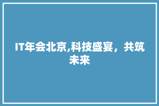 IT年会北京,科技盛宴，共筑未来 WordPress教程