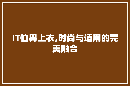 IT恤男上衣,时尚与适用的完美融合 SEO教程
