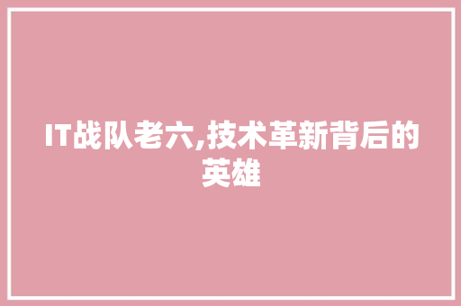 IT战队老六,技术革新背后的英雄 友链在线