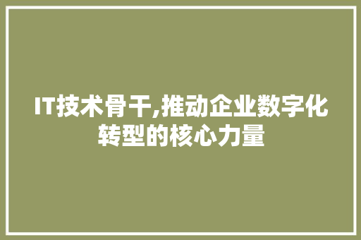 IT技术骨干,推动企业数字化转型的核心力量 SEO教程