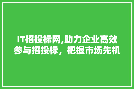 IT招投标网,助力企业高效参与招投标，把握市场先机 建站教程