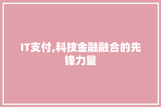 IT支付,科技金融融合的先锋力量