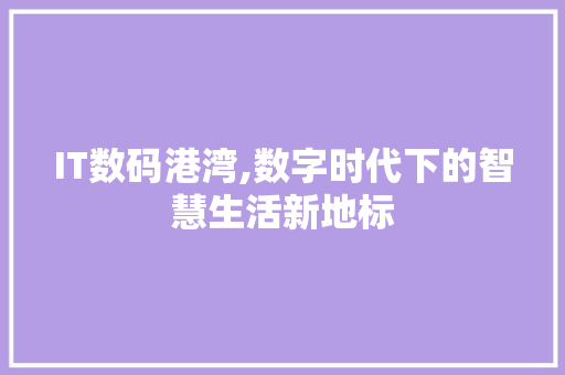 IT数码港湾,数字时代下的智慧生活新地标