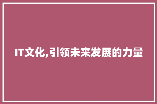 IT文化,引领未来发展的力量
