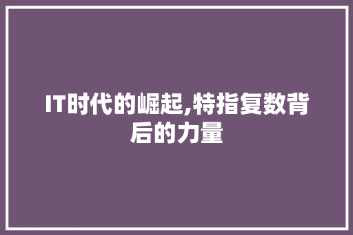 IT时代的崛起,特指复数背后的力量