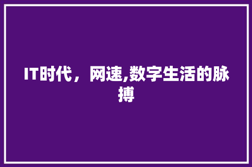 IT时代，网速,数字生活的脉搏