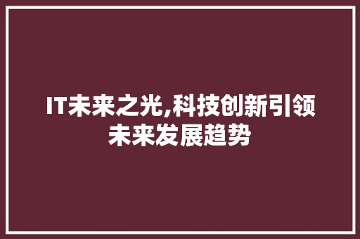 IT未来之光,科技创新引领未来发展趋势 SEO教程