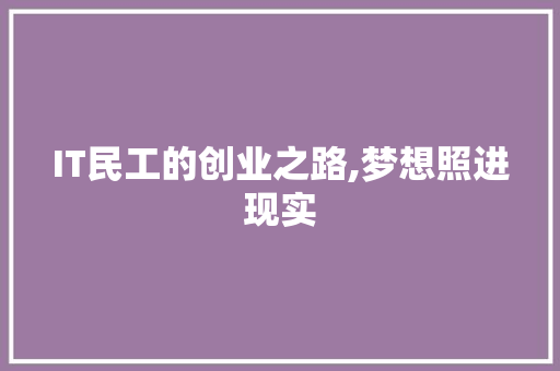 IT民工的创业之路,梦想照进现实