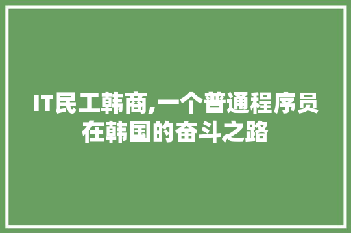 IT民工韩商,一个普通程序员在韩国的奋斗之路 SEO教程