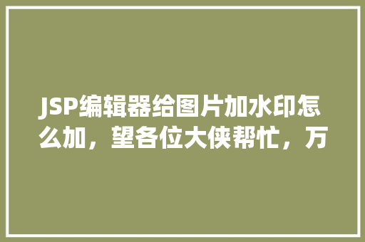 JSP编辑器给图片加水印怎么加，望各位大侠帮忙，万分感激「web向数据库中加图片的方法」
