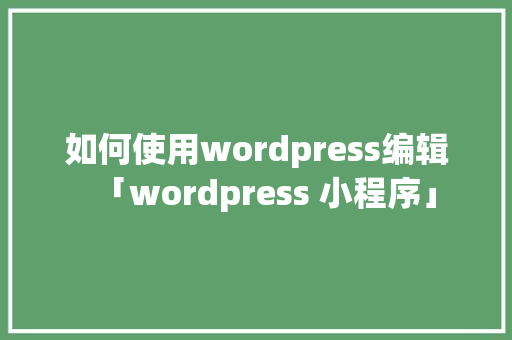 如何使用wordpress编辑「wordpress 小程序」 SEO教程
