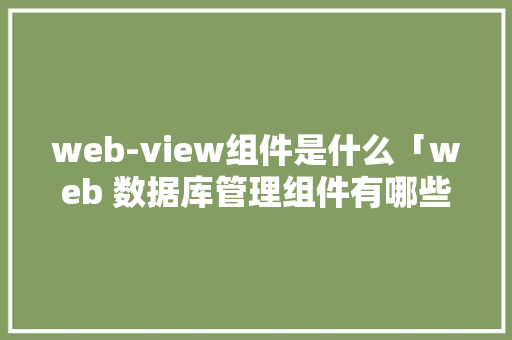 web-view组件是什么「web 数据库管理组件有哪些」