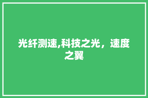 光纤测速,科技之光，速度之翼