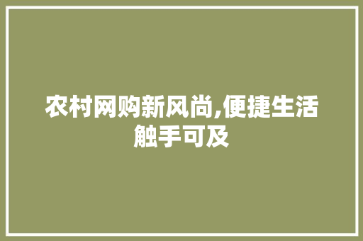 农村网购新风尚,便捷生活触手可及