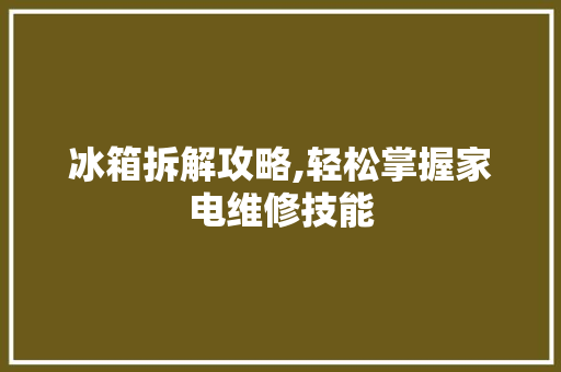 冰箱拆解攻略,轻松掌握家电维修技能