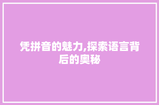 凭拼音的魅力,探索语言背后的奥秘 WordPress教程