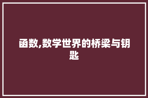 函数,数学世界的桥梁与钥匙