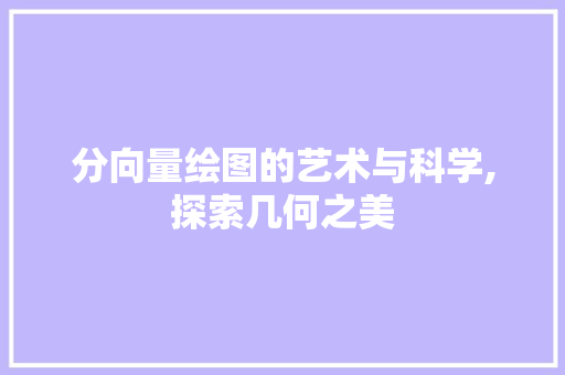 分向量绘图的艺术与科学,探索几何之美
