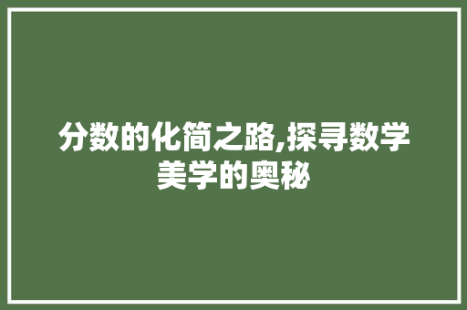 分数的化简之路,探寻数学美学的奥秘