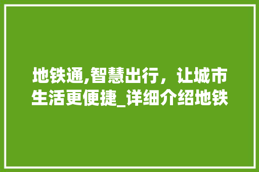 地铁通,智慧出行，让城市生活更便捷_详细介绍地铁通的使用方法及优势 服务器/数据库