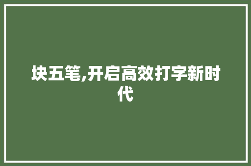 块五笔,开启高效打字新时代