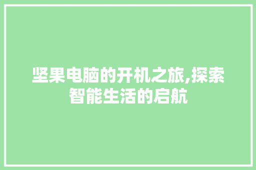 坚果电脑的开机之旅,探索智能生活的启航 服务器/数据库