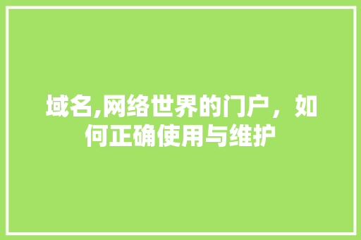 域名,网络世界的门户，如何正确使用与维护