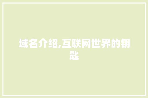域名介绍,互联网世界的钥匙