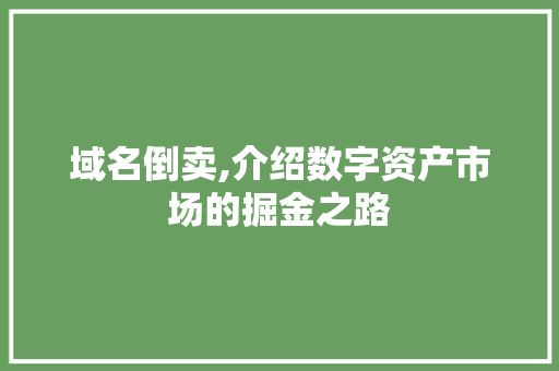 域名倒卖,介绍数字资产市场的掘金之路