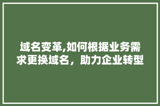 域名变革,如何根据业务需求更换域名，助力企业转型升级