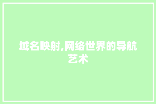 域名映射,网络世界的导航艺术