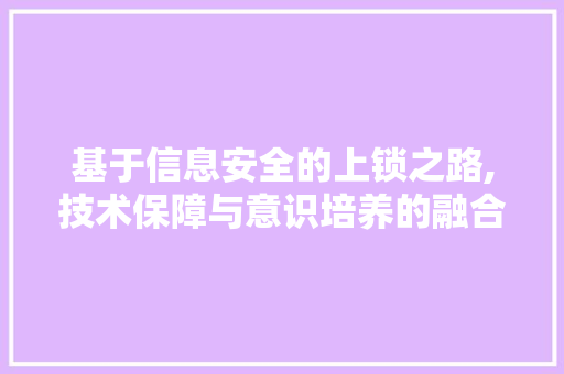 基于信息安全的上锁之路,技术保障与意识培养的融合 服务器/数据库