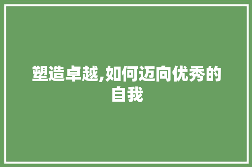 塑造卓越,如何迈向优秀的自我 SEO教程