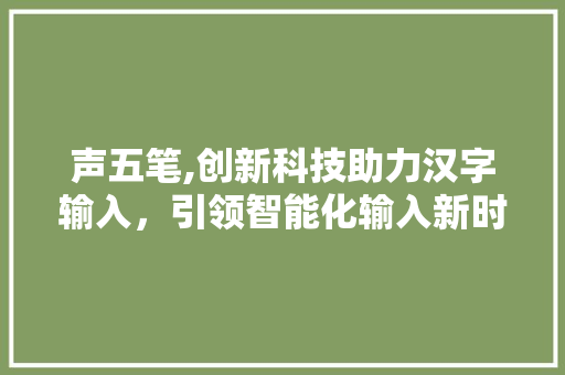 声五笔,创新科技助力汉字输入，引领智能化输入新时代